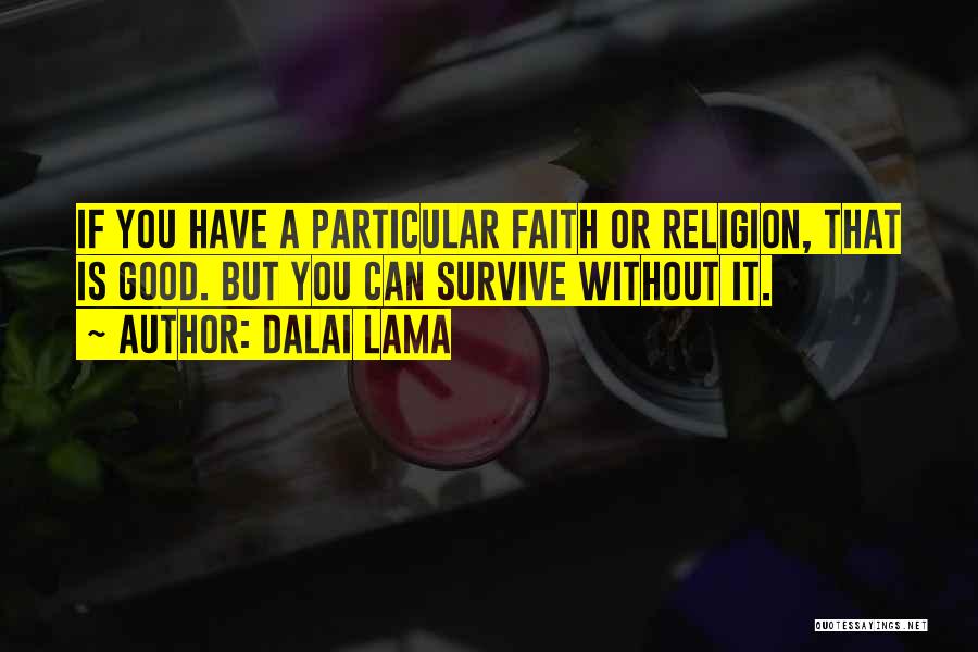 Faith Without Religion Quotes By Dalai Lama
