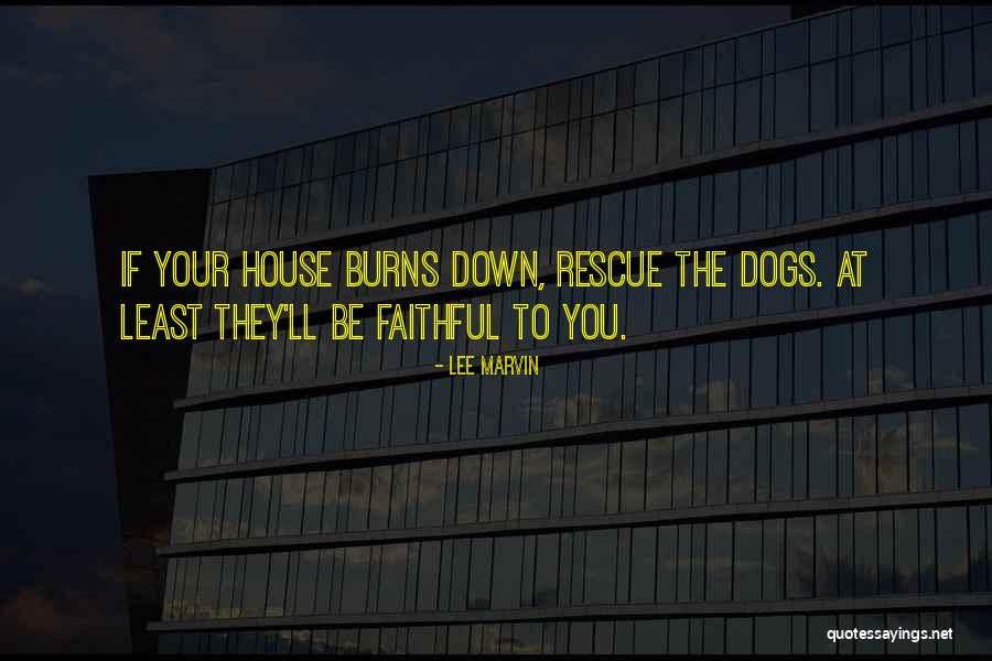 Faithful Dogs Quotes By Lee Marvin Faithful Dogs Quotes By Lee Marvin