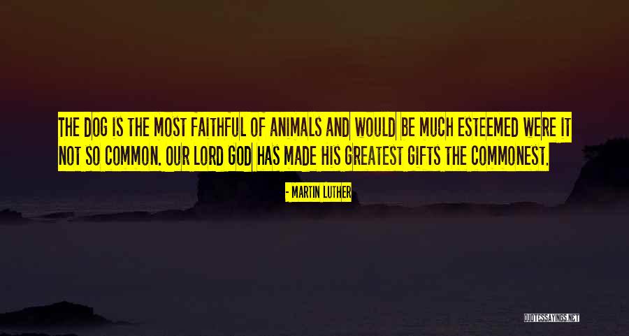 Faithful Dogs Quotes By Martin Luther Faithful Dogs Quotes By Martin Luther