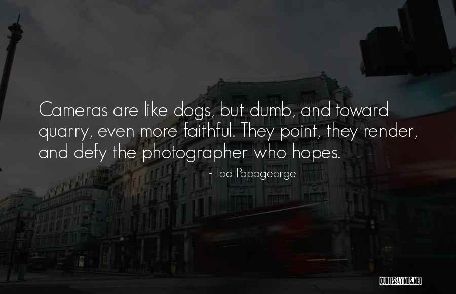 Faithful Dogs Quotes By Tod Papageorge Faithful Dogs Quotes By Tod Papageorge
