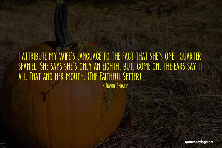 Faithful Wife Quotes By David Sedaris