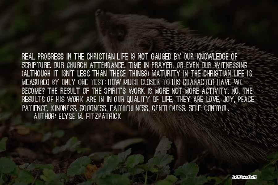 Faithfulness In Love Quotes By Elyse M. Fitzpatrick