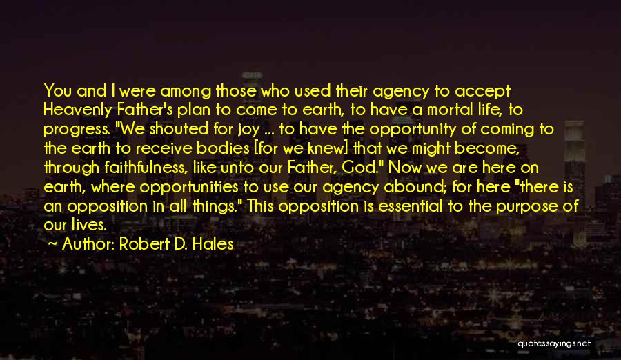 Faithfulness To God Quotes By Robert D. Hales