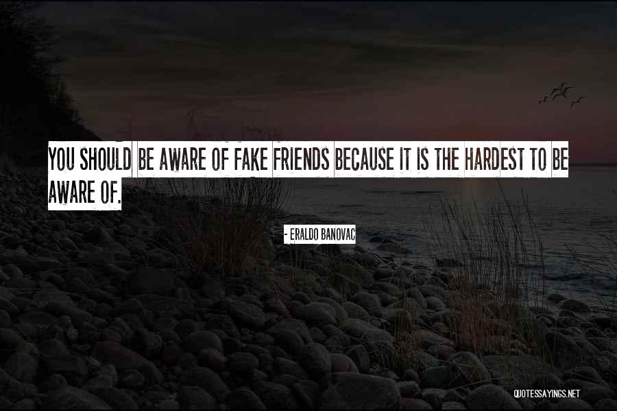 Fake Best Friends Quotes By Eraldo Banovac Fake Best Friends Quotes By Eraldo Banovac