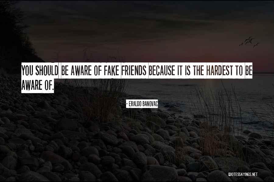 Fake Best Friends Quotes By Eraldo Banovac