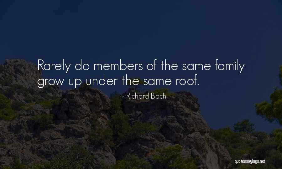 Fake Bros Quotes By Richard Bach Fake Bros Quotes By Richard Bach