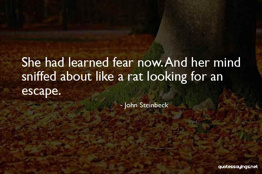 Fake Facebook Profiles Quotes By John Steinbeck Fake Facebook Profiles Quotes By John Steinbeck