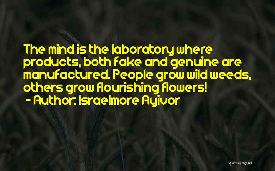 Fake Flowers Quotes By Israelmore Ayivor