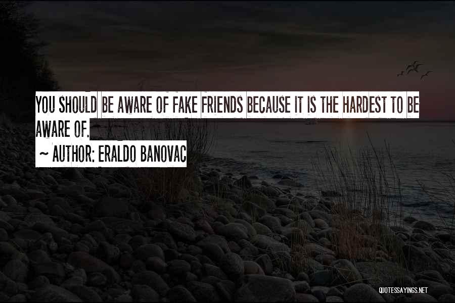 Fake Friends Life Quotes By Eraldo Banovac