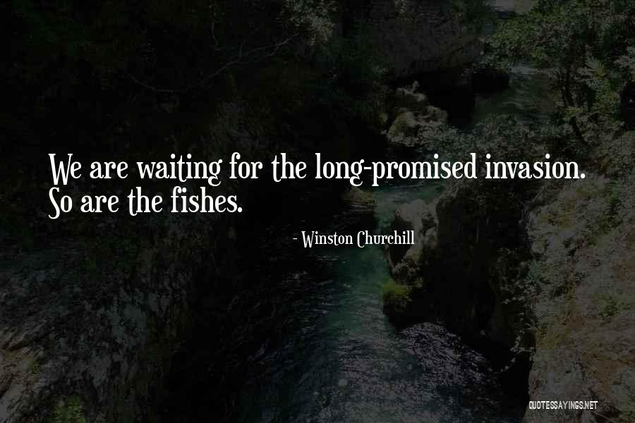 Fake Scholes Quotes By Winston Churchill Fake Scholes Quotes By Winston Churchill