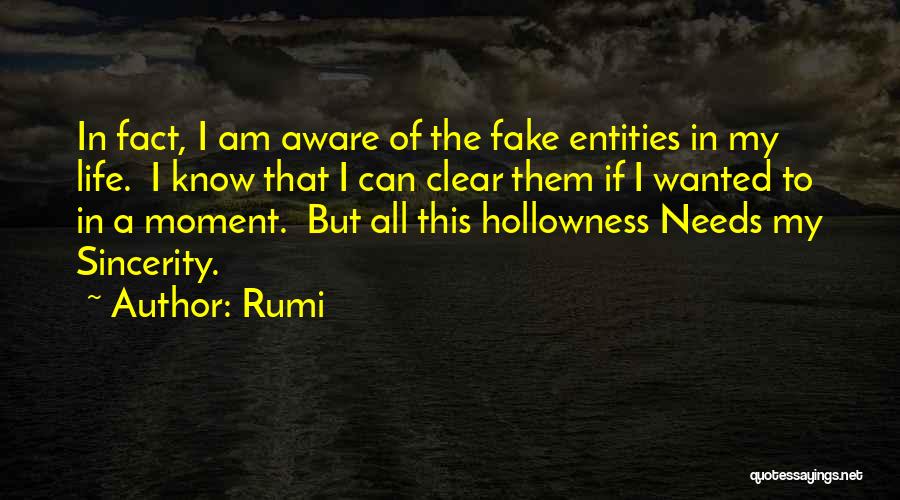 Fake Sincerity Quotes By Rumi