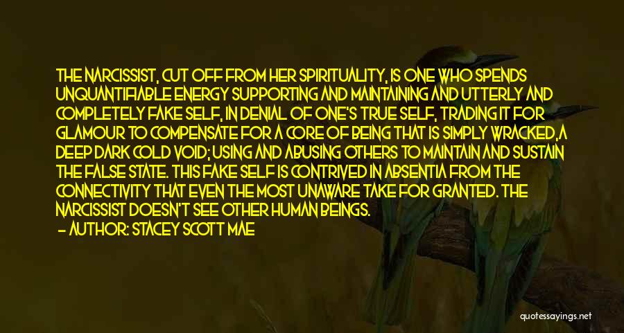 Fake Spirituality Quotes By Stacey Scott Mae