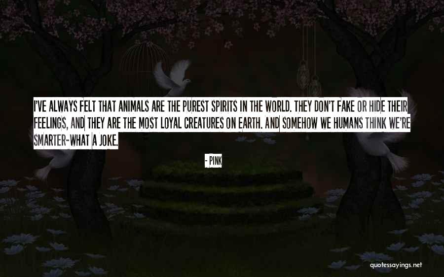 Fake World Quotes By Pink Fake World Quotes By Pink