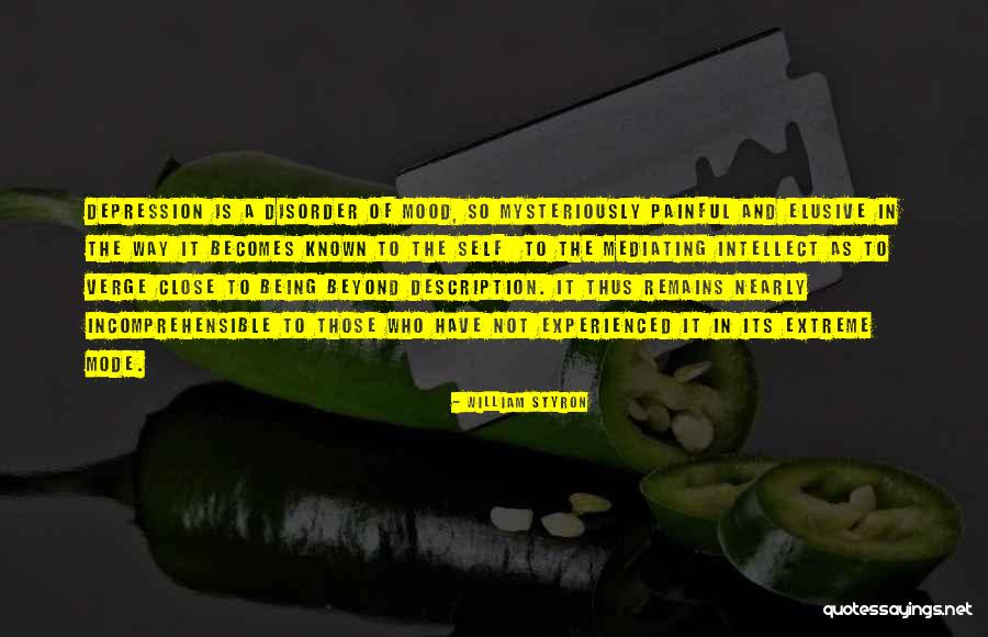 Fakeyourid Quotes By William Styron Fakeyourid Quotes By William Styron