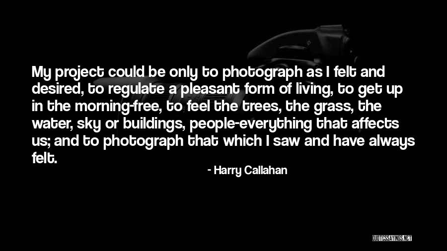 Fakher Beauty Quotes By Harry Callahan Fakher Beauty Quotes By Harry Callahan
