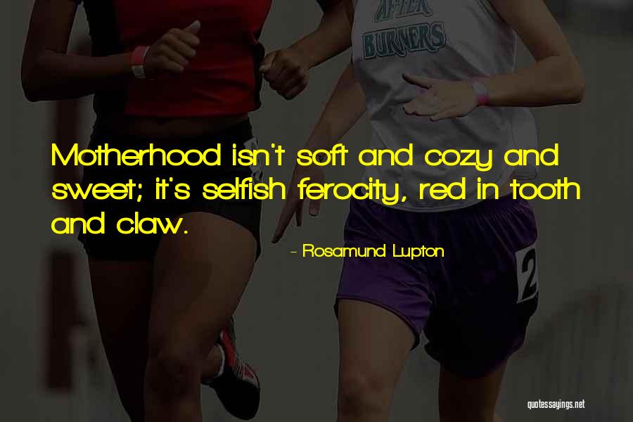 Fakiolas 24k Quotes By Rosamund Lupton Fakiolas 24k Quotes By Rosamund Lupton