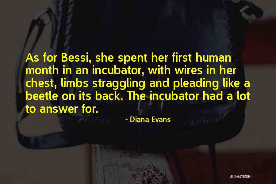 Falacias Argumentativas Quotes By Diana Evans Falacias Argumentativas Quotes By Diana Evans