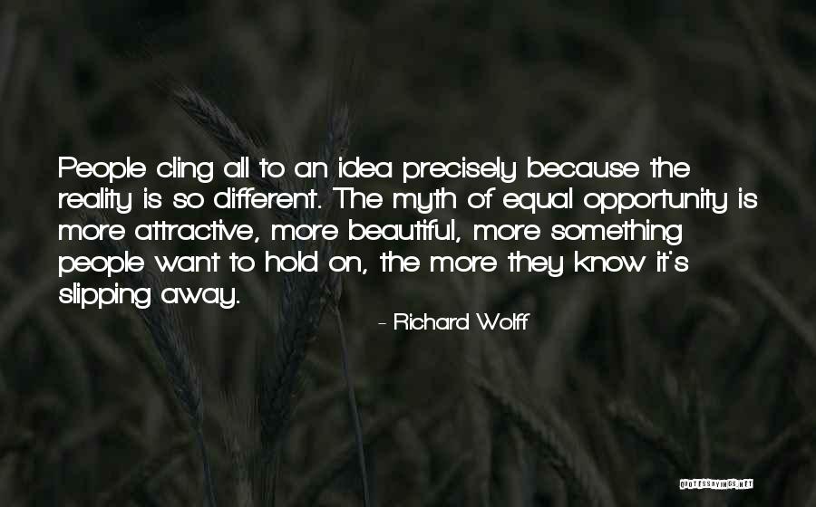 Falacy Quotes By Richard Wolff Falacy Quotes By Richard Wolff