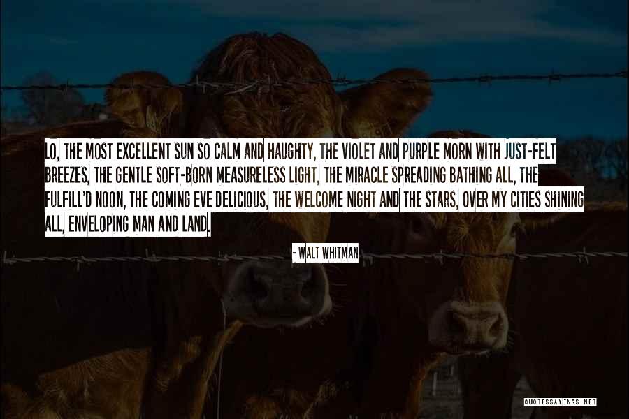 Falafels Origin Quotes By Walt Whitman Falafels Origin Quotes By Walt Whitman