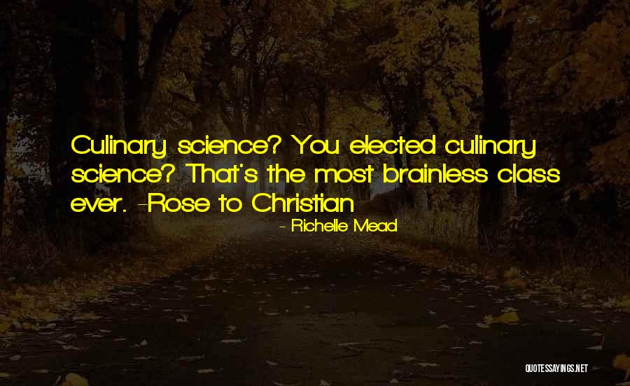 Falamos Em Quotes By Richelle Mead Falamos Em Quotes By Richelle Mead