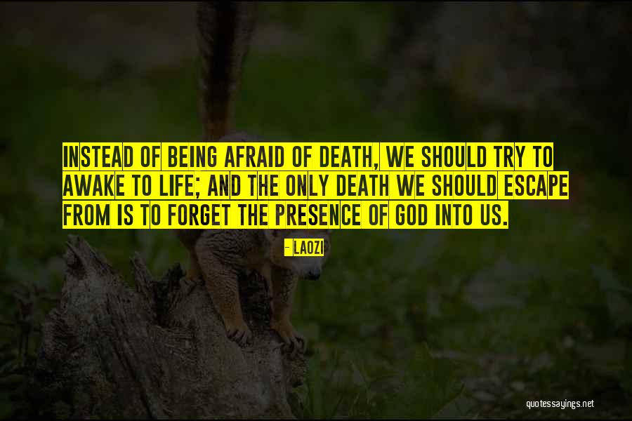 Falanet Quotes By Laozi Falanet Quotes By Laozi