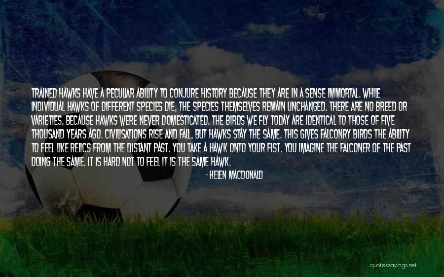 Falconry Quotes By Helen Macdonald Falconry Quotes By Helen Macdonald