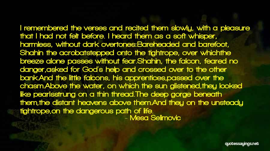 Falcons Quotes By Mesa Selimovic Falcons Quotes By Mesa Selimovic