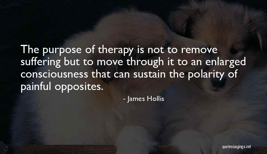 Faliero Sarti Quotes By James Hollis Faliero Sarti Quotes By James Hollis
