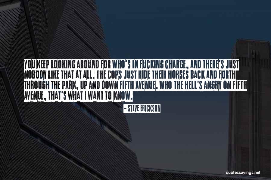 Faligo Quotes By Steve Erickson Faligo Quotes By Steve Erickson