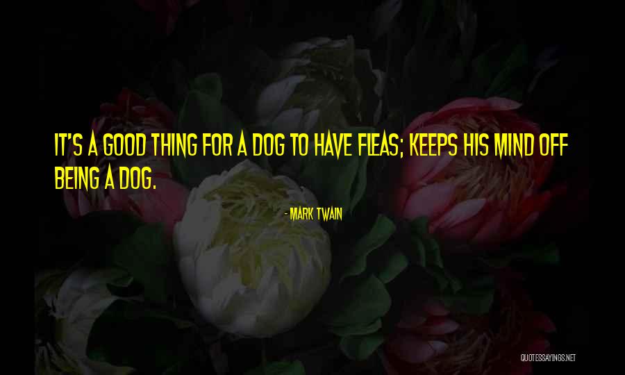 Falih Alfayyadh Quotes By Mark Twain Falih Alfayyadh Quotes By Mark Twain