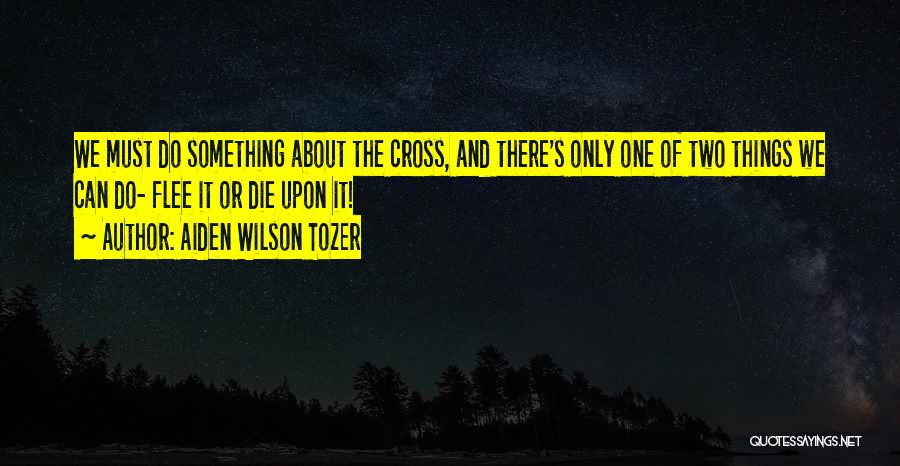 Falken At3w Quotes By Aiden Wilson Tozer