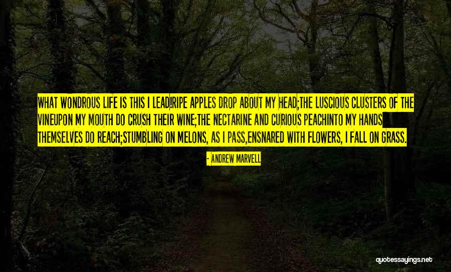 Fall And Apples Quotes By Andrew Marvell Fall And Apples Quotes By Andrew Marvell