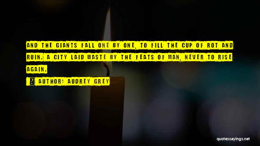 Fall And Rise Again Quotes By Audrey Grey