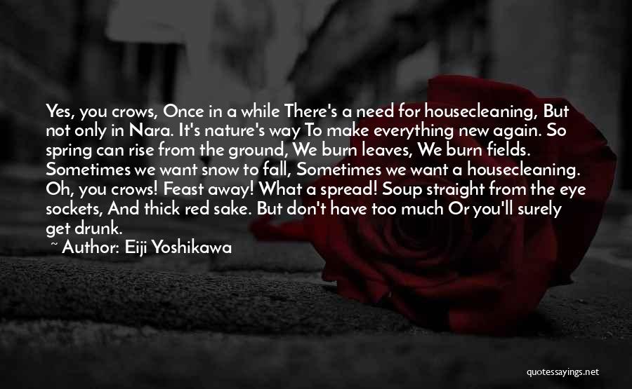 Fall And Rise Again Quotes By Eiji Yoshikawa
