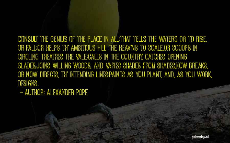 Fall And Rise Quotes By Alexander Pope