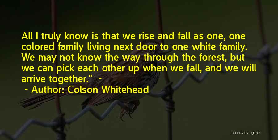 Fall And Rise Quotes By Colson Whitehead