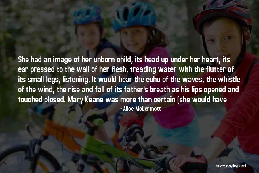 Fall And Rise Up Quotes By Alice McDermott Fall And Rise Up Quotes By Alice McDermott