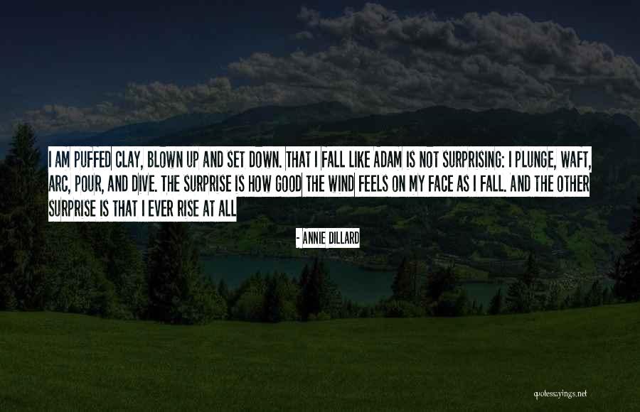 Fall And Rise Up Quotes By Annie Dillard Fall And Rise Up Quotes By Annie Dillard