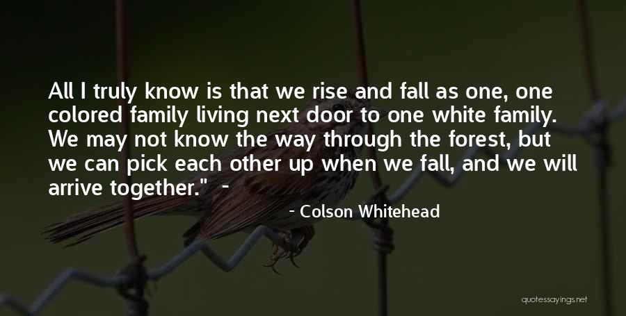 Fall And Rise Up Quotes By Colson Whitehead