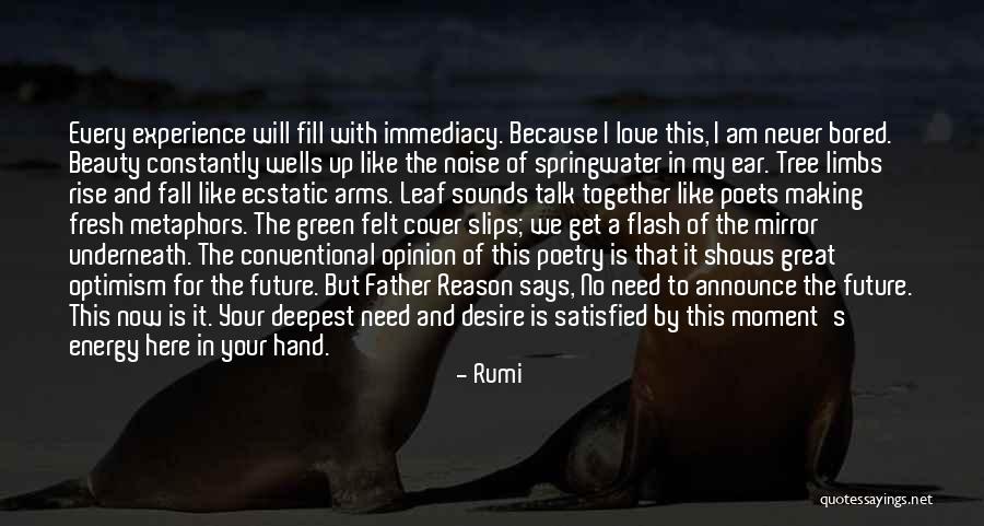 Fall And Rise Up Quotes By Rumi