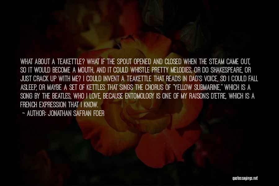 Fall Asleep Love Quotes By Jonathan Safran Foer