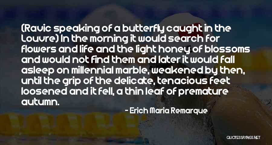Fall Butterfly Quotes By Erich Maria Remarque Fall Butterfly Quotes By Erich Maria Remarque