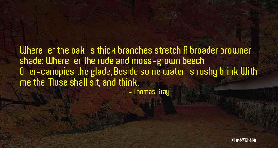 Fall Buttons Quotes By Thomas Gray Fall Buttons Quotes By Thomas Gray