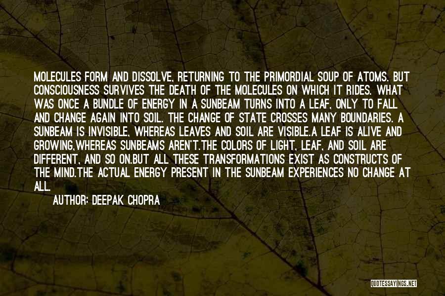 Fall Colors Quotes By Deepak Chopra
