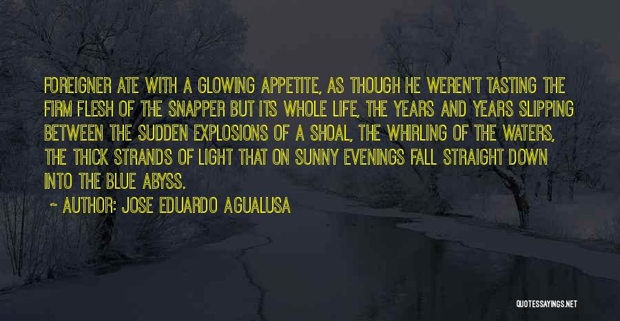 Fall Evenings Quotes By Jose Eduardo Agualusa