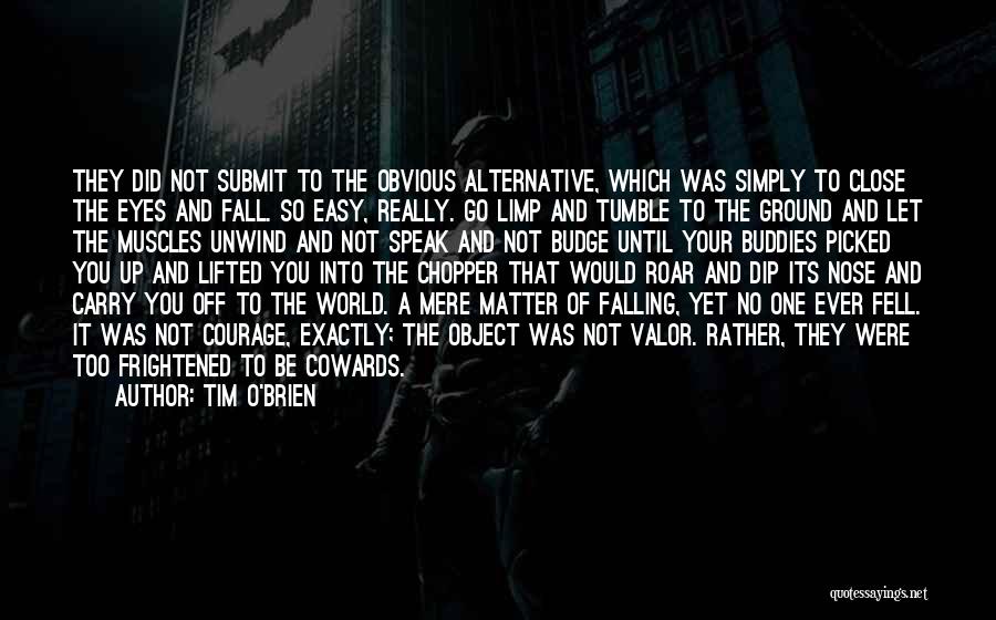Fall Falling Quotes By Tim O'Brien
