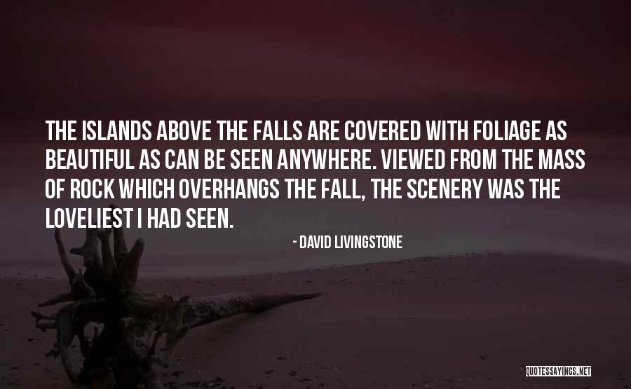 Fall Foliage Quotes By David Livingstone