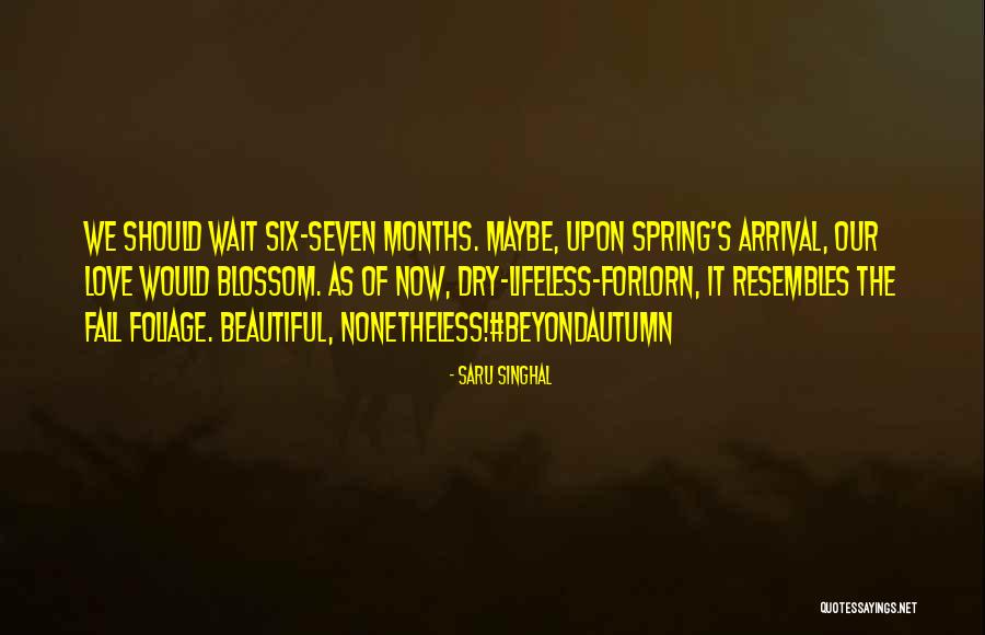 Fall Foliage Quotes By Saru Singhal Fall Foliage Quotes By Saru Singhal