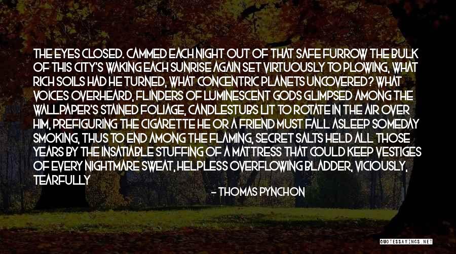 Fall Foliage Quotes By Thomas Pynchon Fall Foliage Quotes By Thomas Pynchon