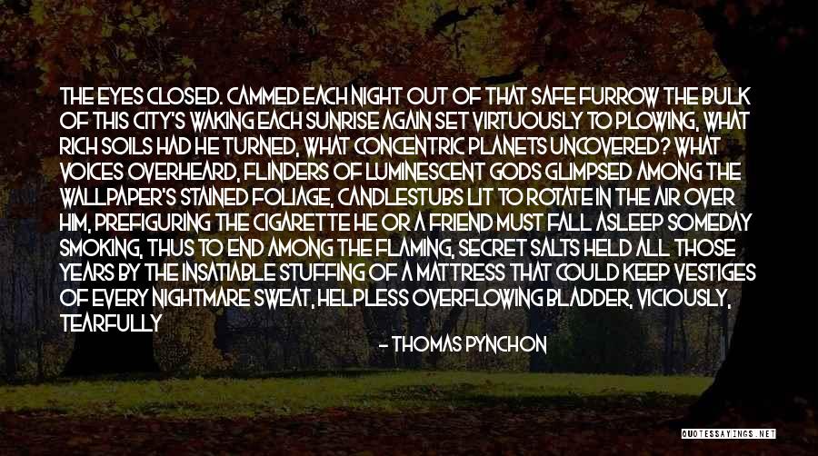 Fall Foliage Quotes By Thomas Pynchon